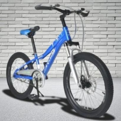 صورة دراجة مقاس 20